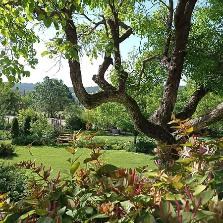 Prolet بيت للعطل